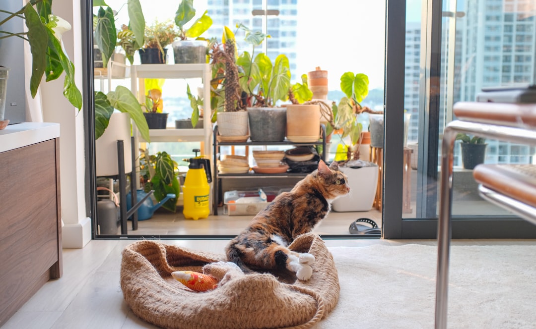 Making It Work: Tips for Calm Apartment Living (Image Credits: Unsplash)
