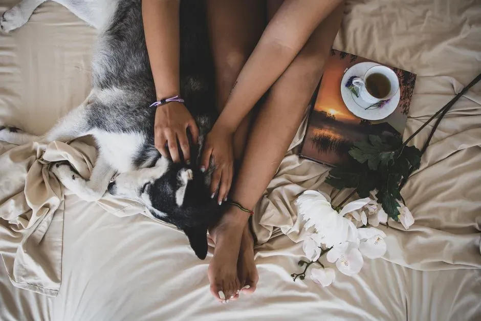 Strengthening Your Connection With Your Dog (Image Credits: Pexels)
