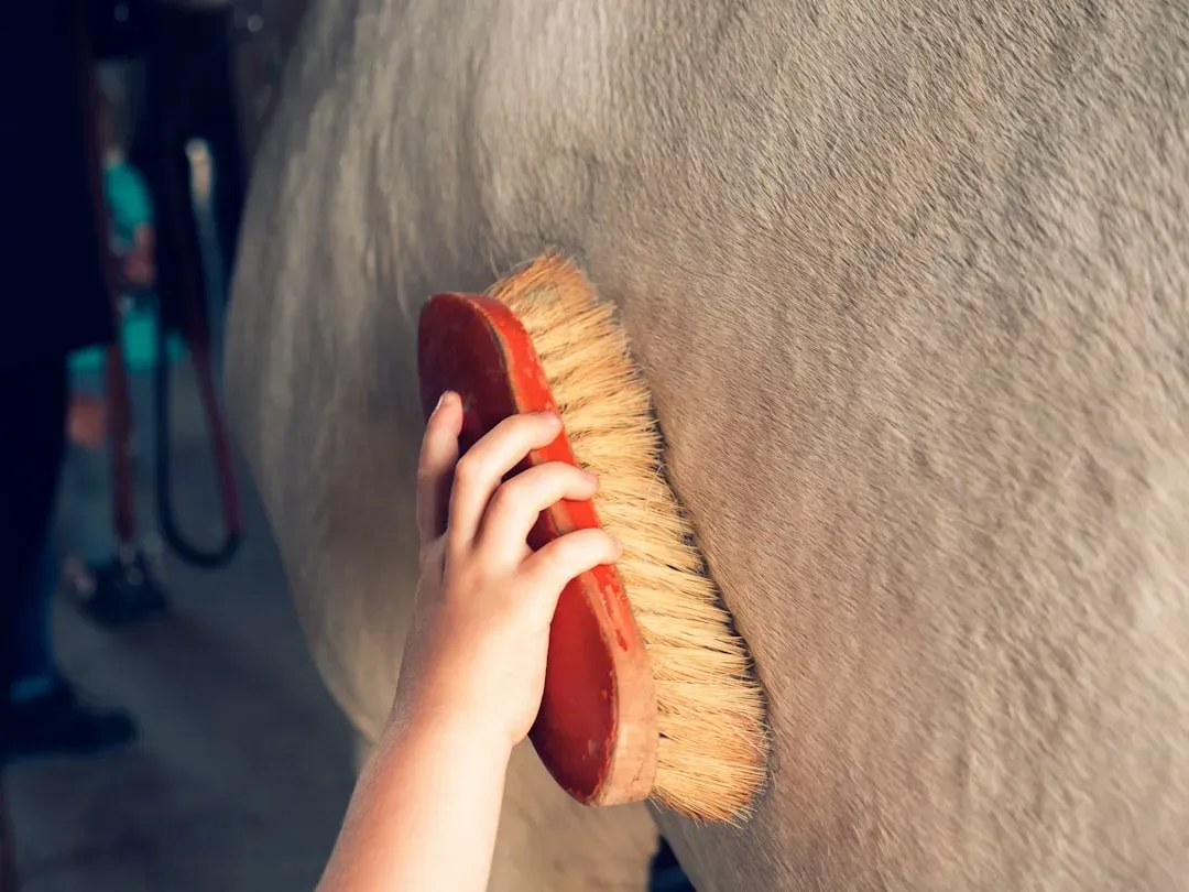 Grooming as a Trust-Building Exercise (Image Credits: Unsplash)