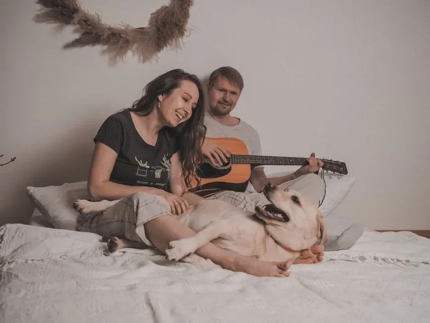 The Science Behind Sound and Canine Relaxation (Image Credits: Pexels)