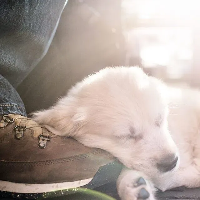 Conclusion: A Little Patience Goes a Very Long Way (Image Credits: Flickr)