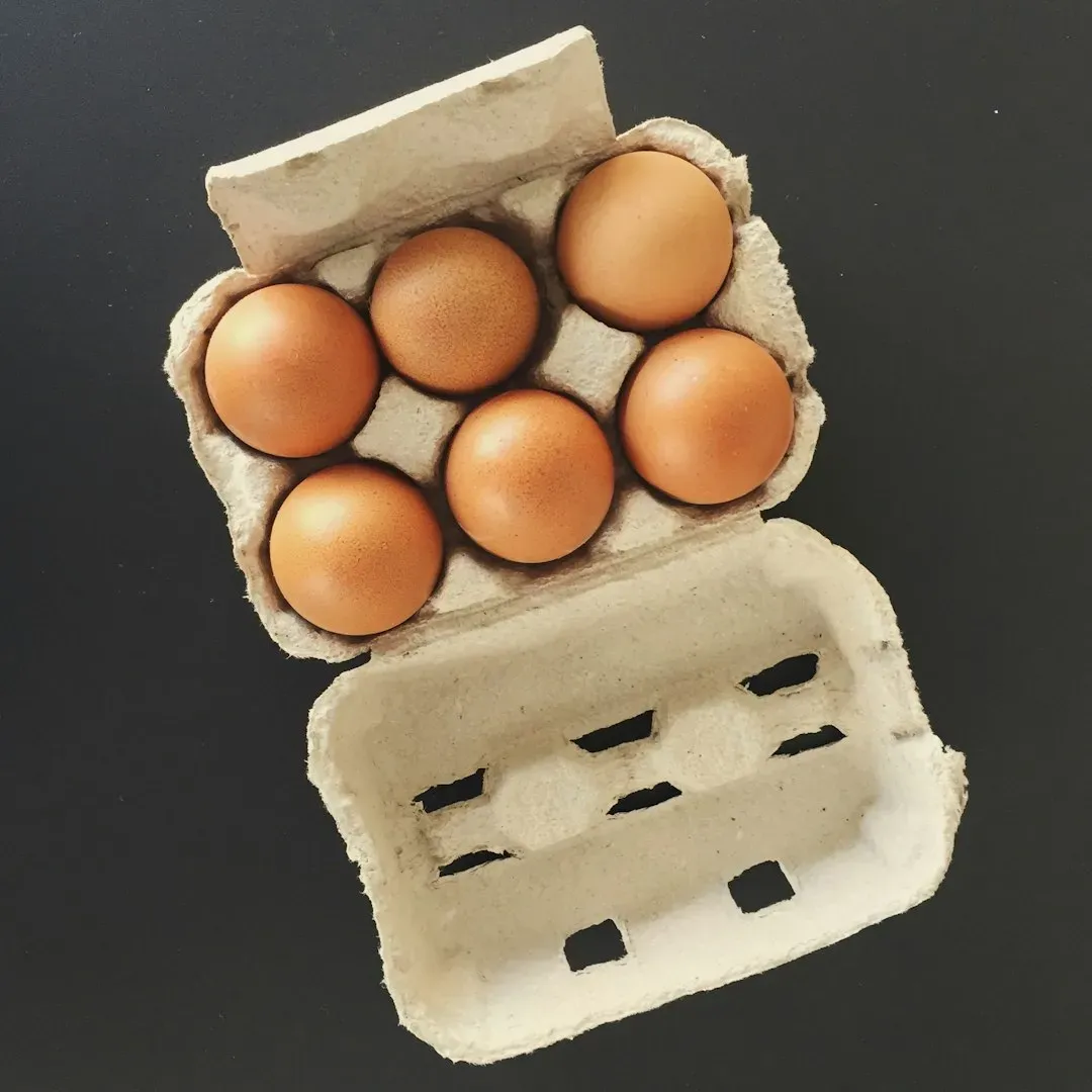 Egg Cartons (Image Credits: Unsplash)