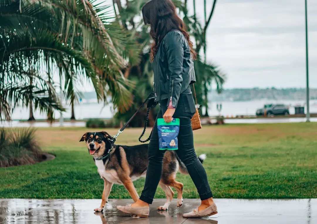 Walk/Walkies/Outside (Image Credits: Unsplash)