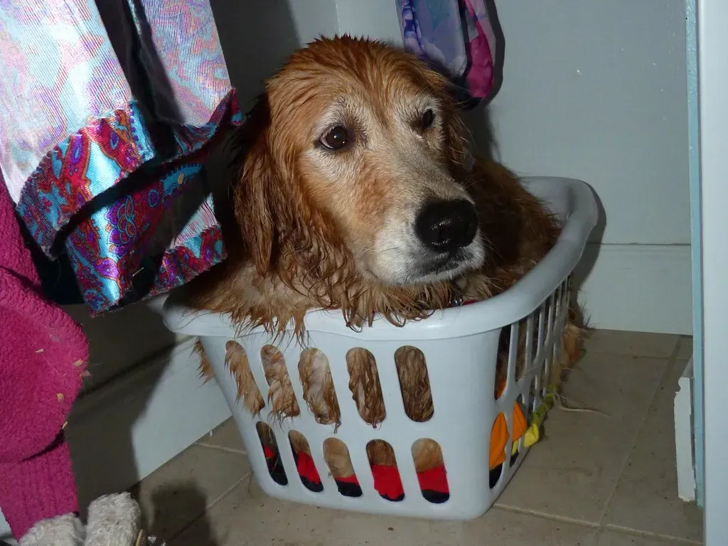 Thunderstorms and Loud Weather Events (Image Credits: Flickr)