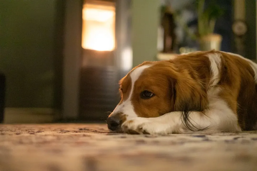 Temperature Tells Tales You Can Feel (Image Credits: Unsplash)