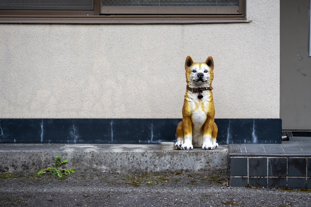 Conclusion (Image Credits: Unsplash)