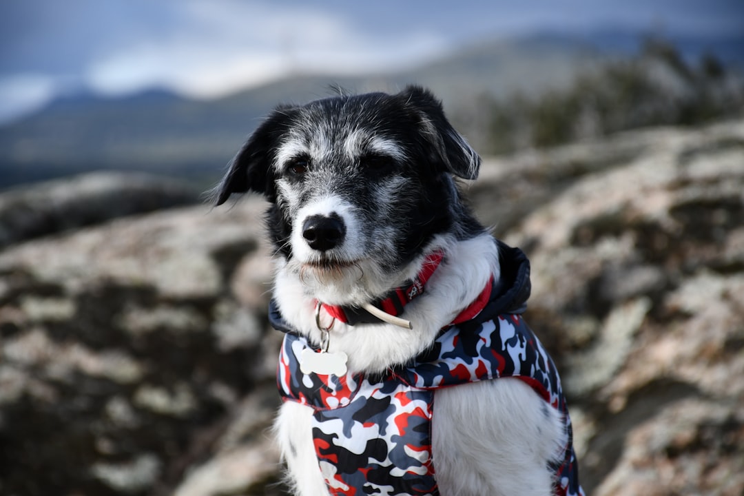 Conclusion (Image Credits: Unsplash)