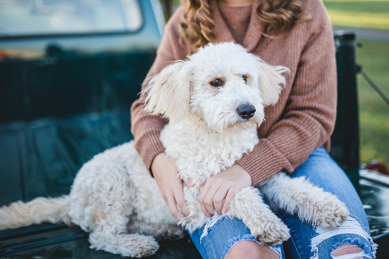 Seeking Physical Contact and Comfort (Image Credits: Pixabay)