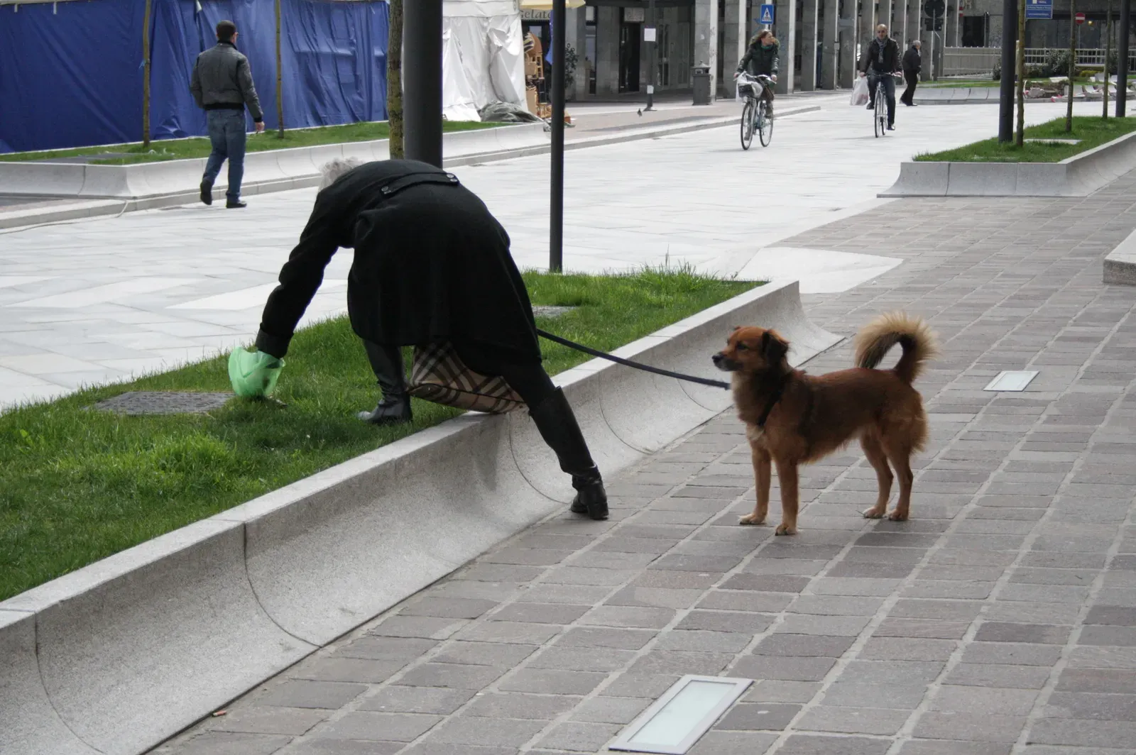 8. They Reduce Your Feelings of Loneliness (By SunOfErat, Public domain)