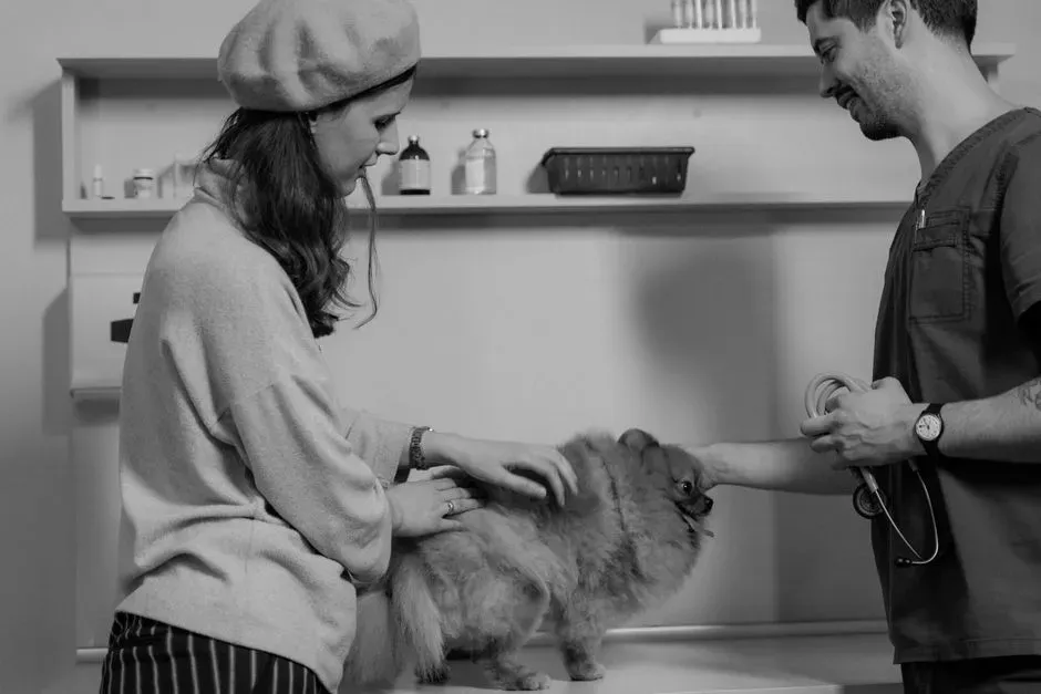 #9 - They Stay Calm During Vet Visits (Image Credits: Pexels)