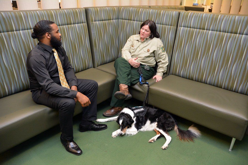 It's All About the Pack Mentality (Image Credits: Flickr)