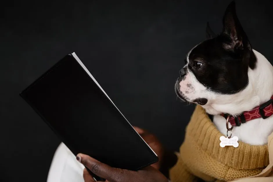 Virgo: The Planner Who Optimizes Life Around Their Dog’s Needs (Image Credits: Pexels)