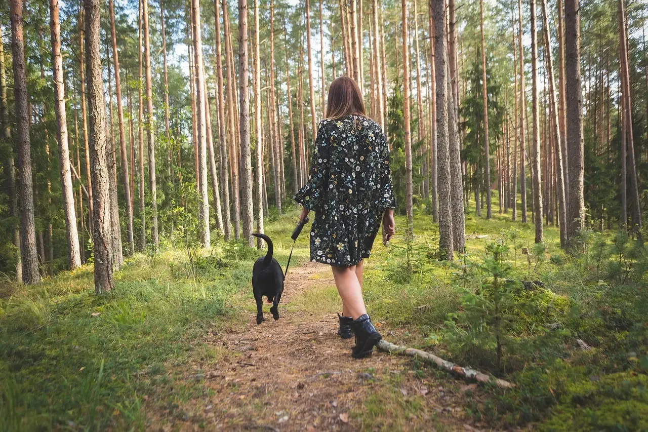 Walking a Dog: Movement, Nature, and Mood (Image Credits: Pixabay)