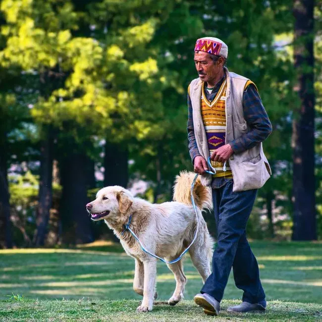 The Calm, Predictable Rhythm of a Retired Household (Image Credits: Pexels)