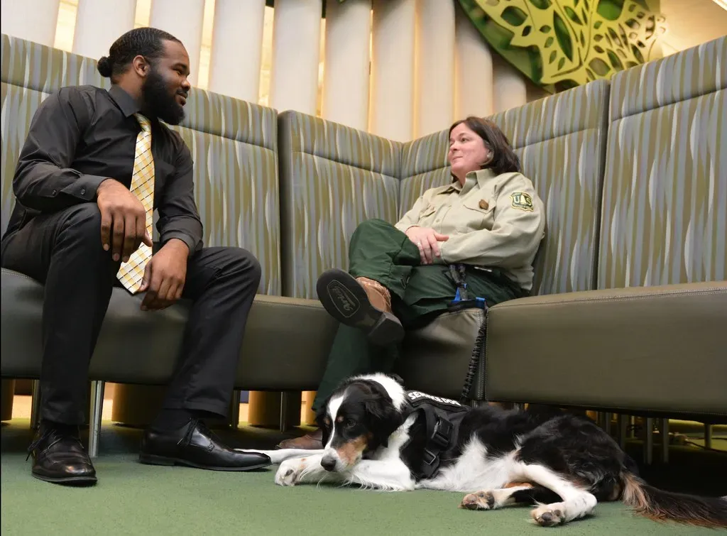 Sometimes, It's a Cry for Comfort (Image Credits: Flickr)