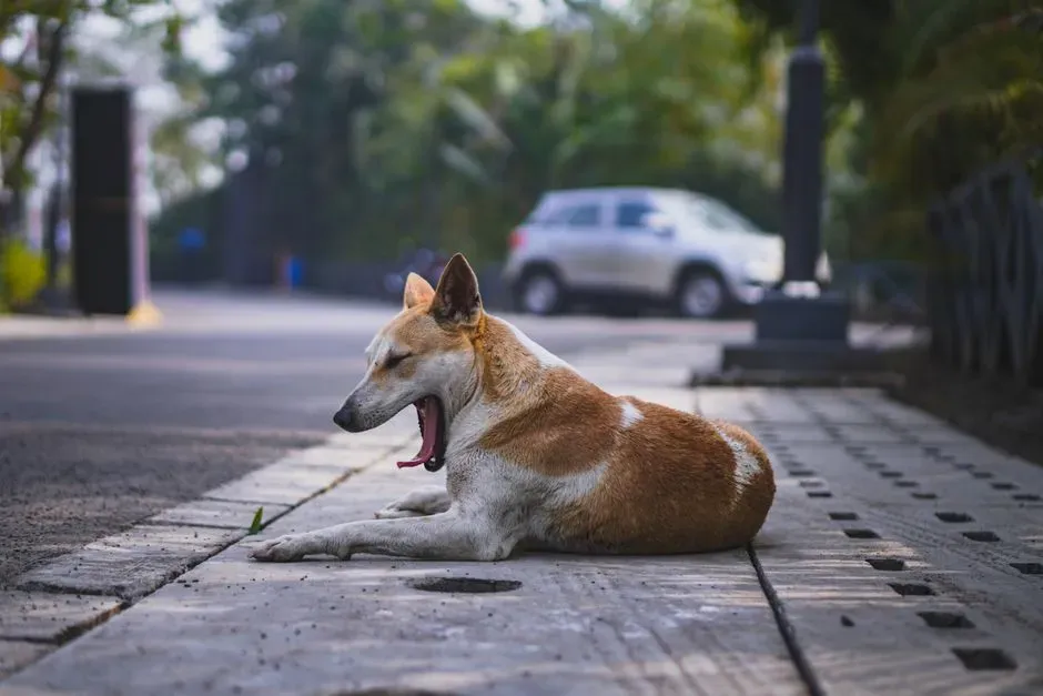 1. Rapid Breathing at Rest (Image Credits: Pexels)