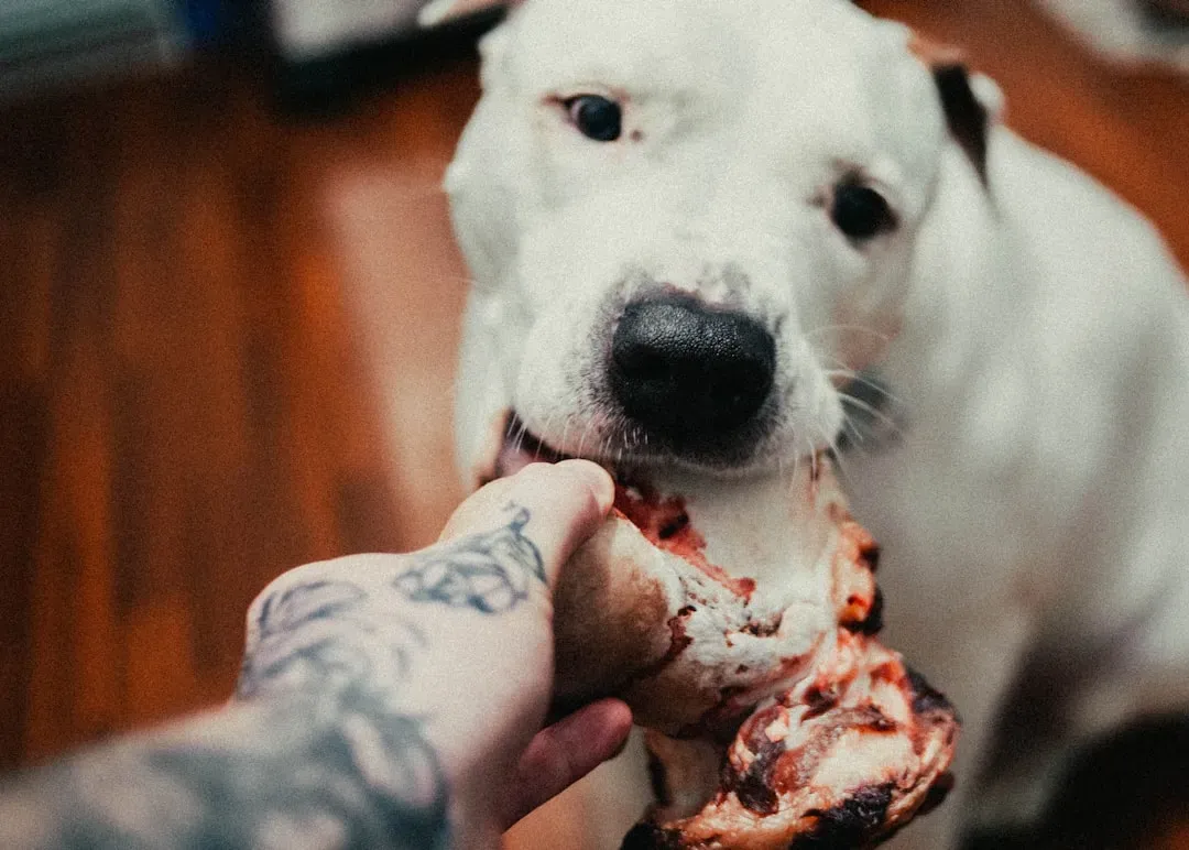 How You (Yes, You) Might Be Creating a Picky Eater (Image Credits: Unsplash)