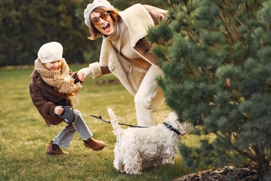 #9 - Keeping the Dog "On" All Day With Nonstop Excitement (Image Credits: Pexels)