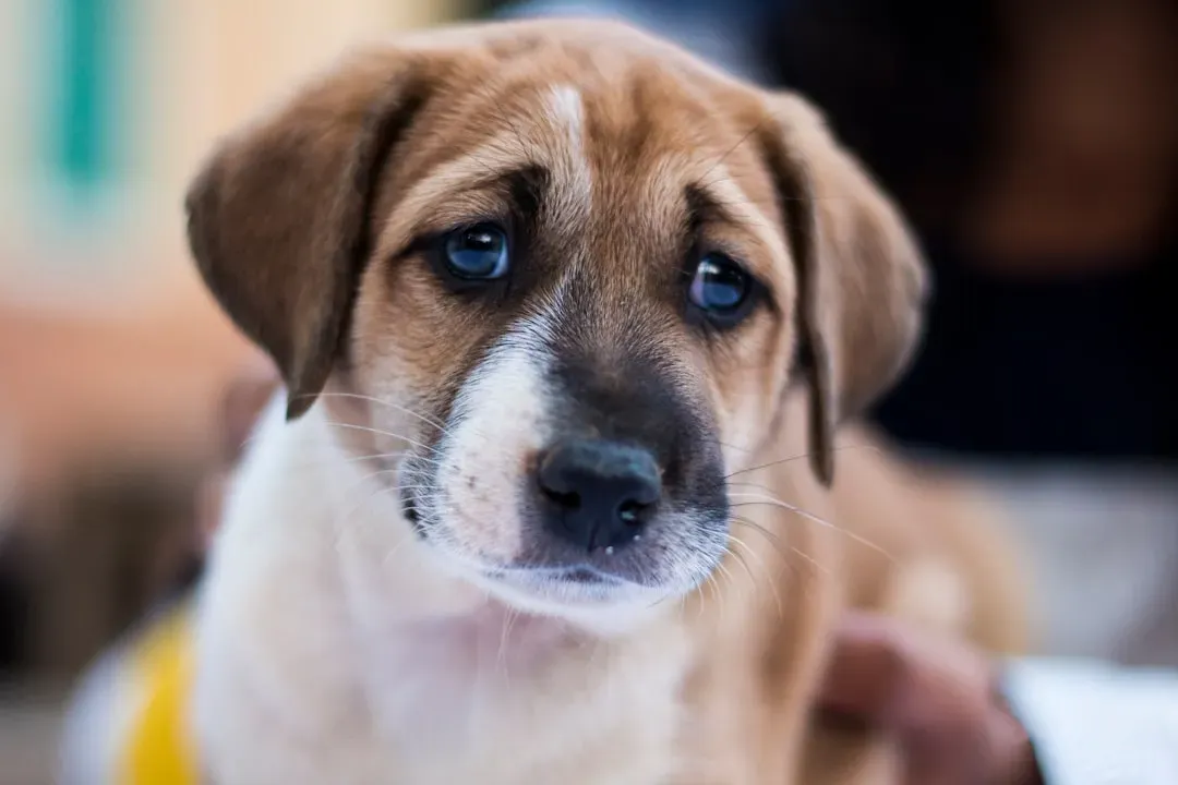 Why Certain Looks Trigger Tears (Image Credits: Unsplash)