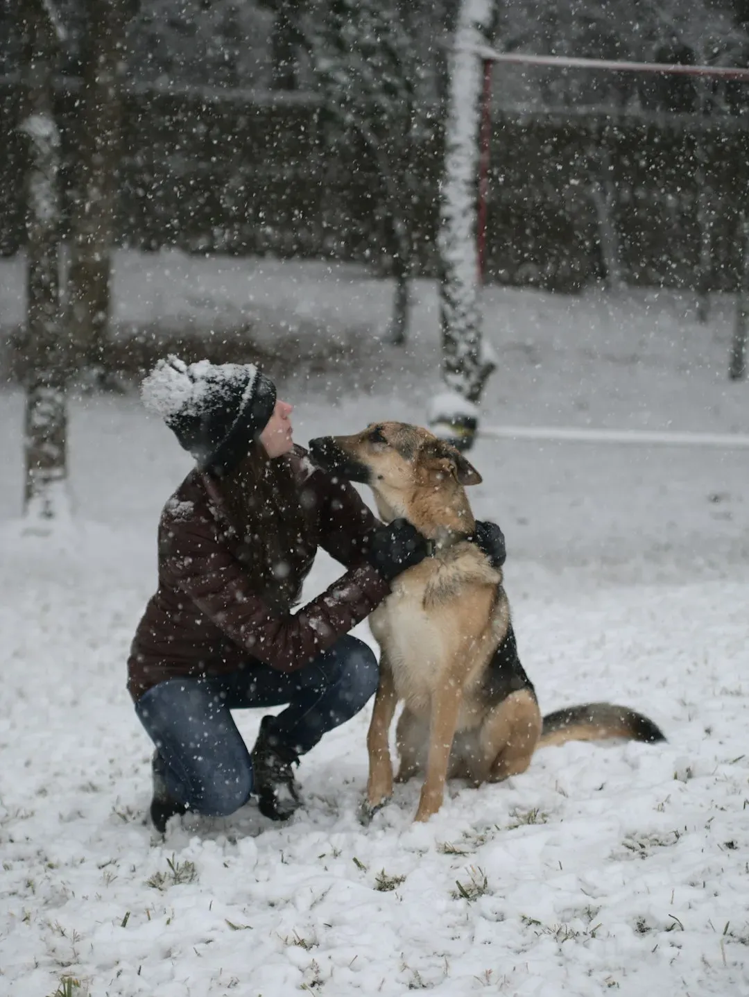 A Remarkable Act of Comfort (Image Credits: Unsplash)