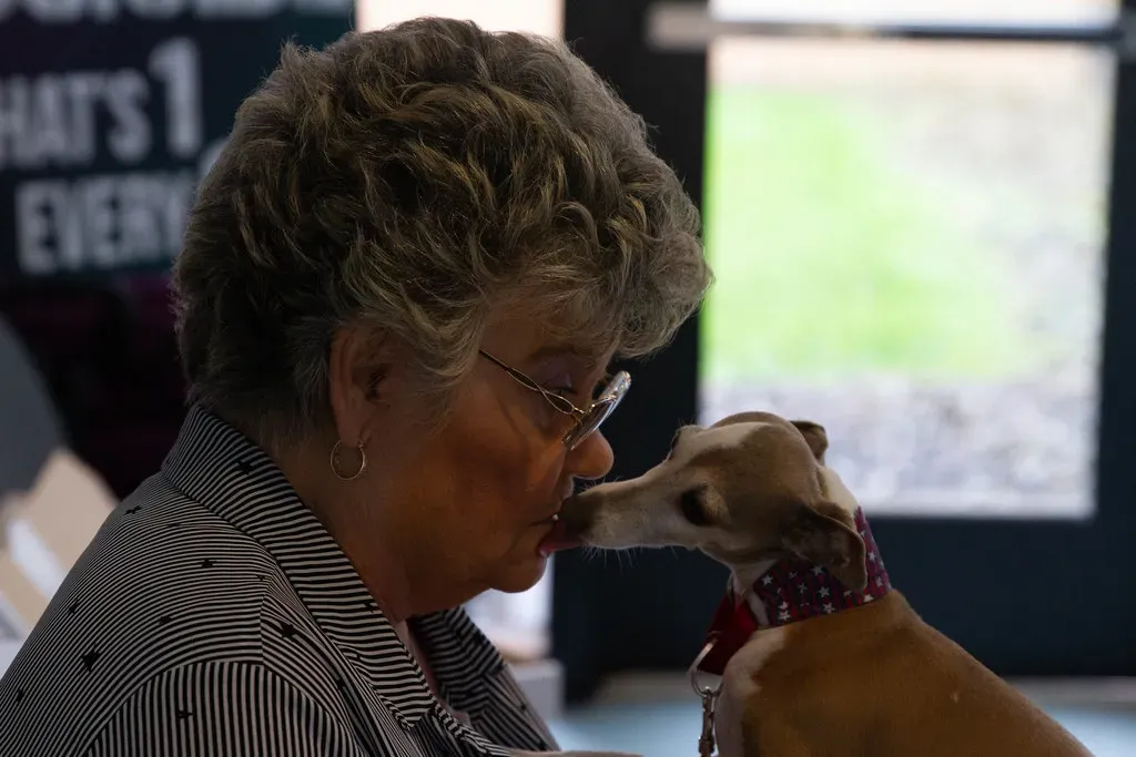 Cancer: The Nurturer Who Becomes Emotionally Drained (Image Credits: Flickr)