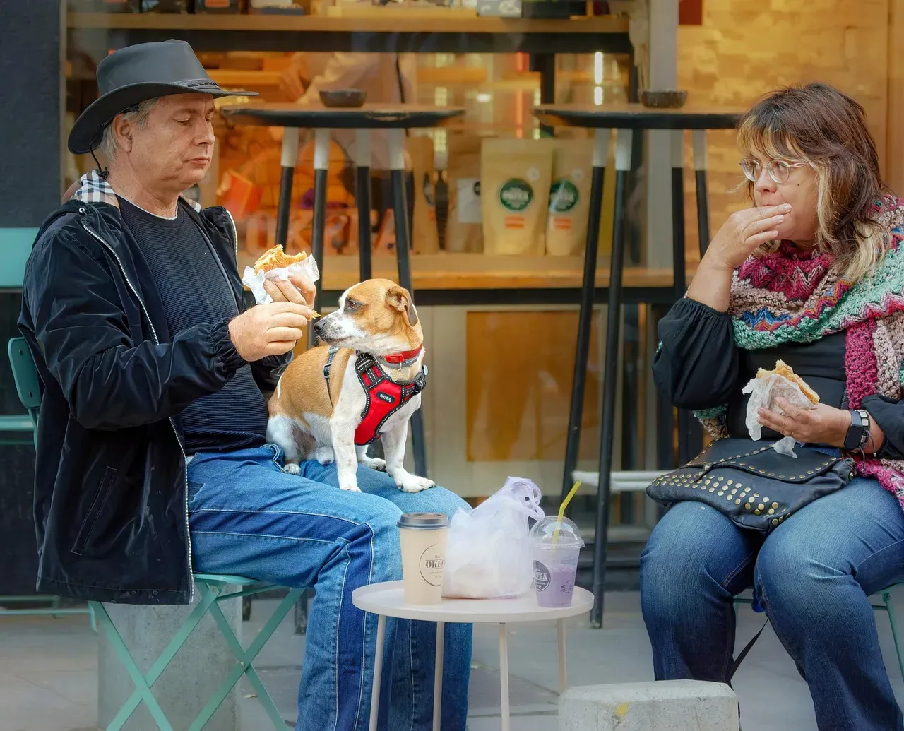 Eating Is a Social Activity for Them (Image Credits: Pixabay)