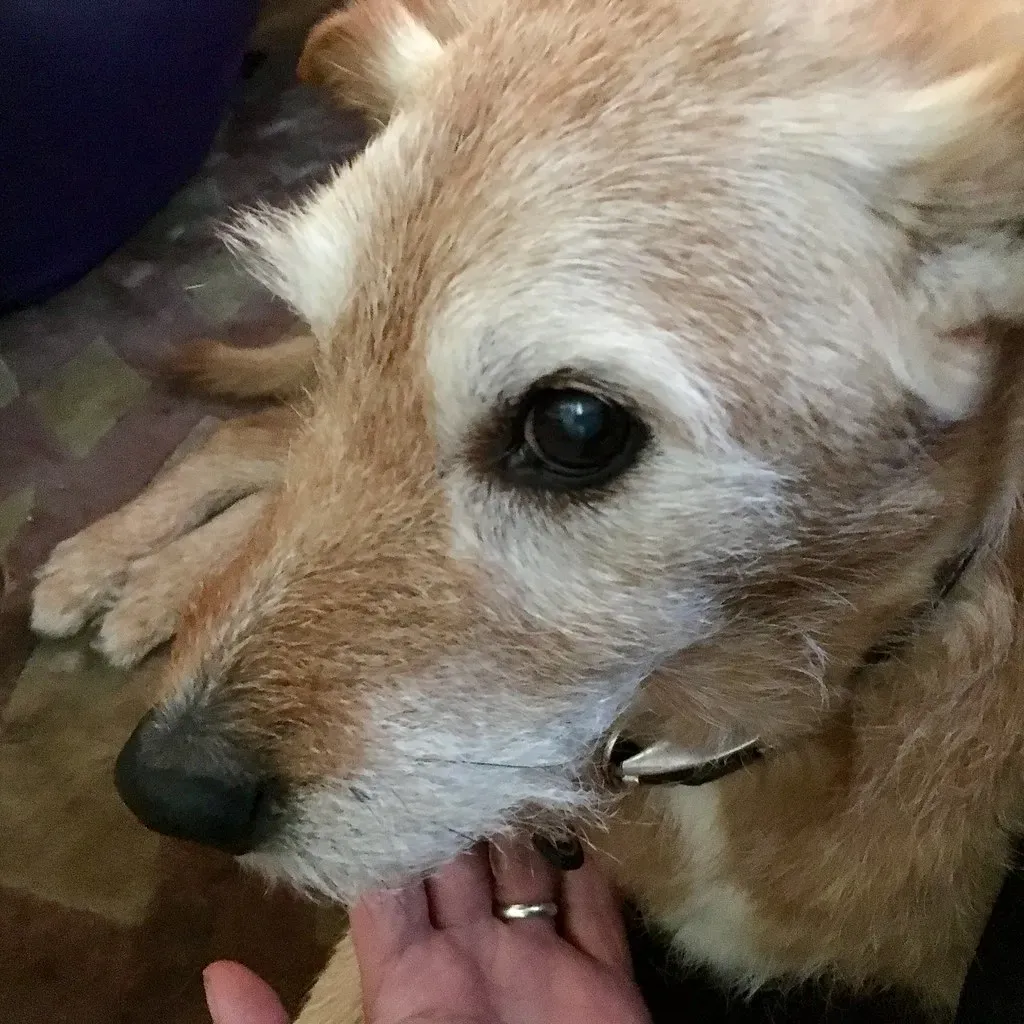 The Warning Signs You're Probably Missing (Image Credits: Flickr)