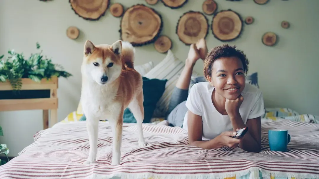 #8 Some Dogs Gravitate Toward “Dog TV” – Others Couldn’t Care Less (Image Credits: Unsplash)