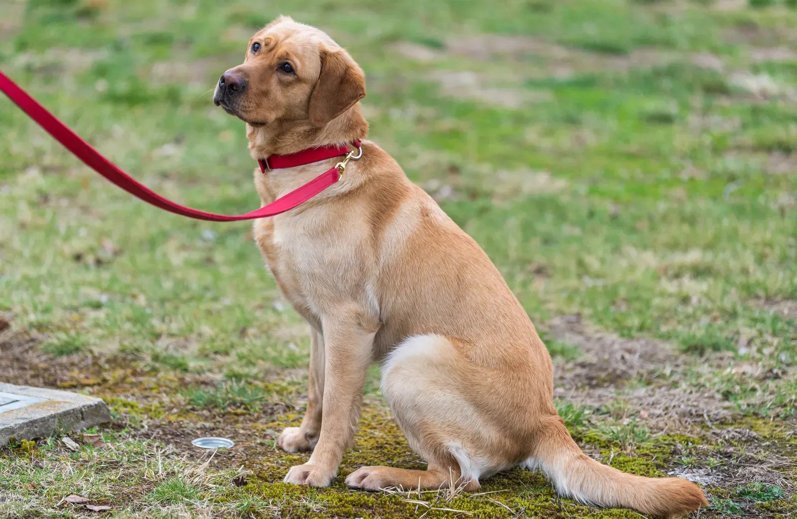 Conclusion (Image Credits: Wikimedia)