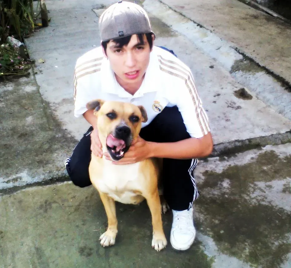 Licking You (Even When It's a Bit Much) (Image Credits: Wikimedia)