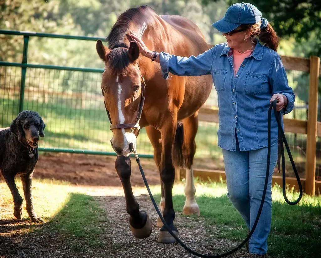 Conclusion (Image Credits: Flickr)