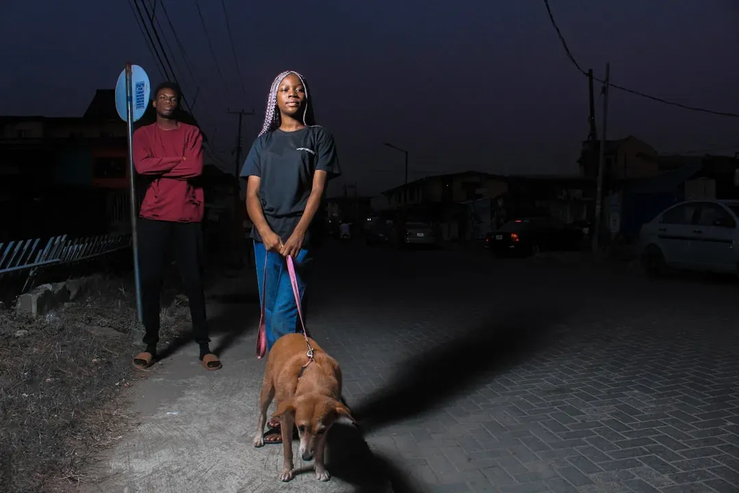 #12 - The Last Trip Outside Controls Their Nighttime Security (Image Credits: Unsplash)