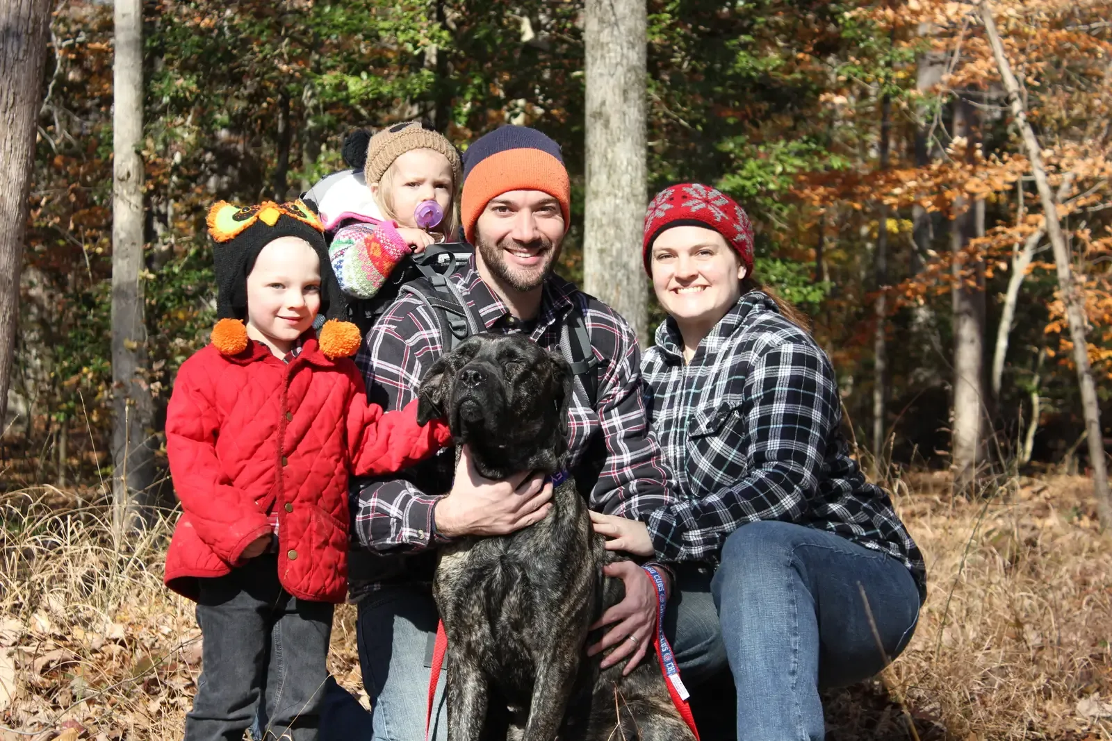 Building a Life Around Your Best Friend (Image Credits: Wikimedia)