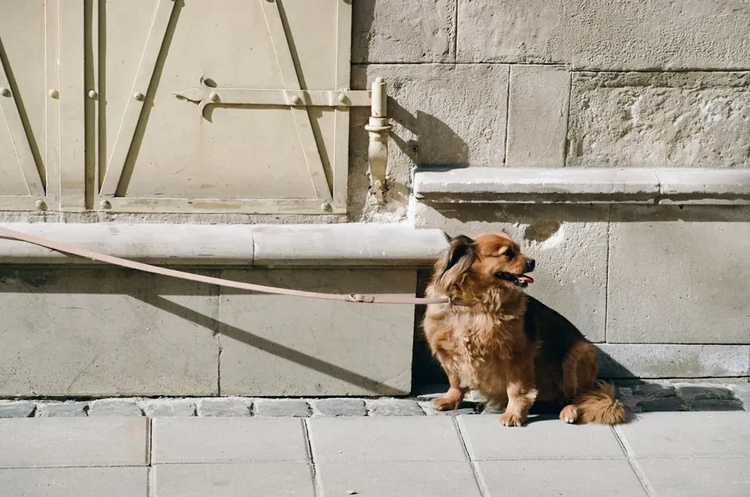 Warning Signs That the Walk Isn't Going Well (Image Credits: Unsplash)
