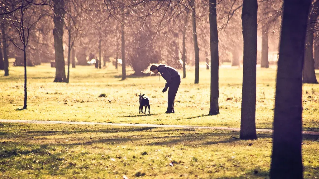 8. They Associate Special Places With Shared Experiences (hernanpba, Flickr, CC BY-SA 2.0)