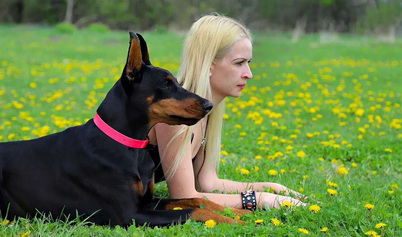 Scorpio and the Doberman Pinscher (Image Credits: Pixabay)