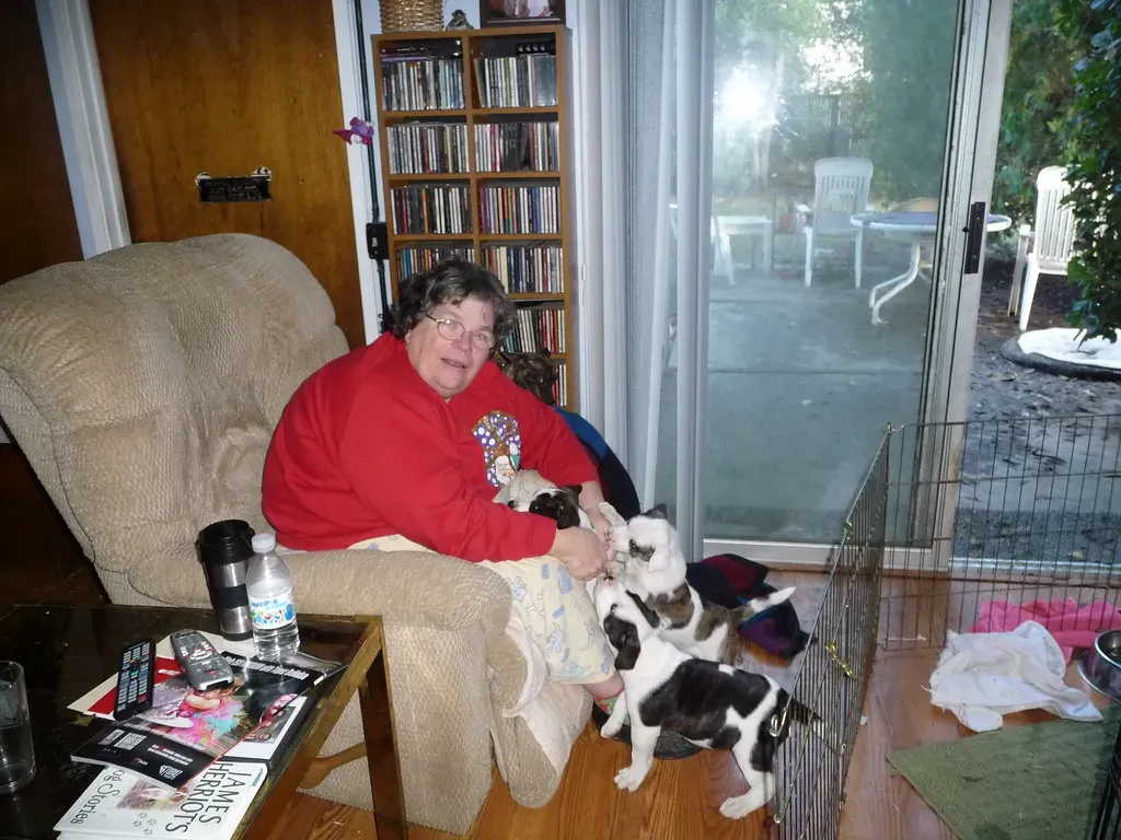 Conclusion: The Ache Is Part of the Gift (basykes, Flickr, CC BY 2.0)