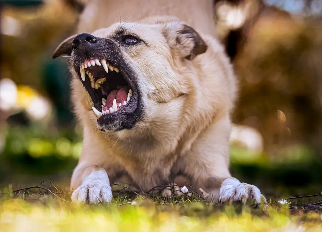 #7 - They Panic Over Every School Bus and Kid Noise Outside (Image Credits: Unsplash)