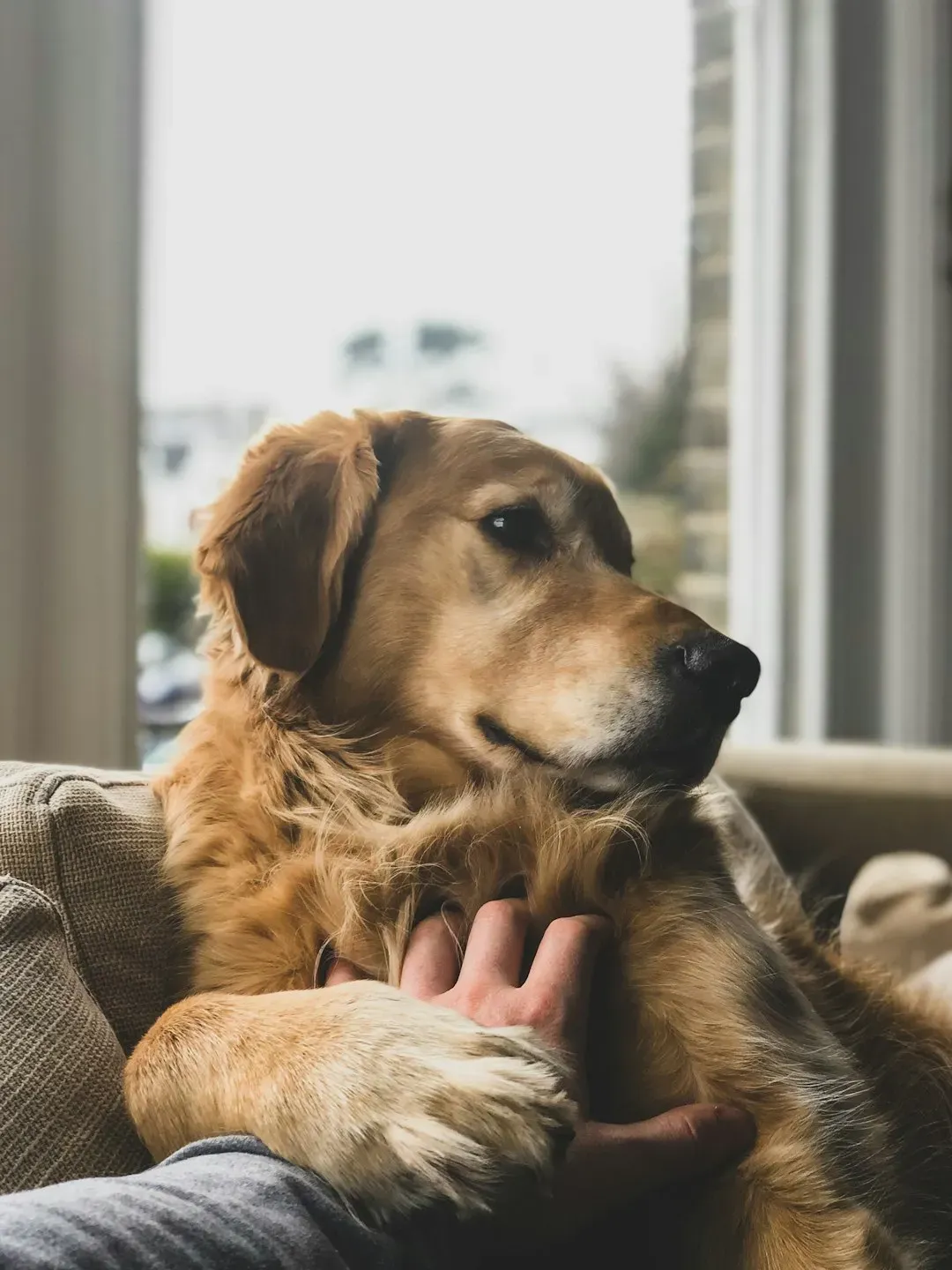 Trusting Instincts Matters Most in the End (Image Credits: Unsplash)