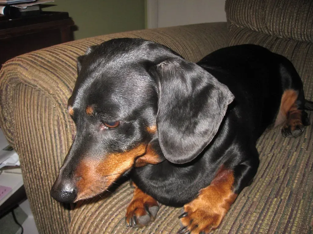 Conclusion: Look Back (Tobyotter, Flickr, CC BY 2.0)