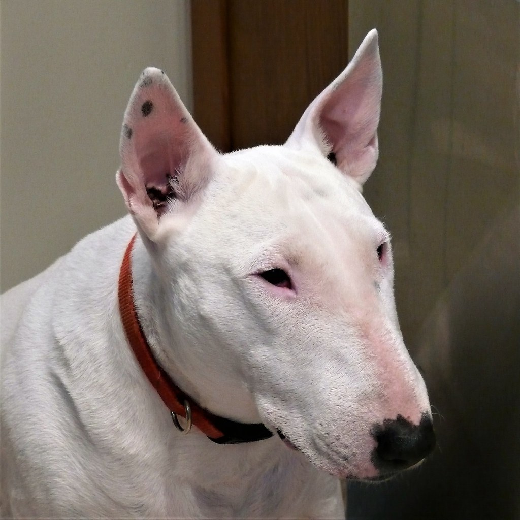 Conclusion (Image Credits: Flickr)