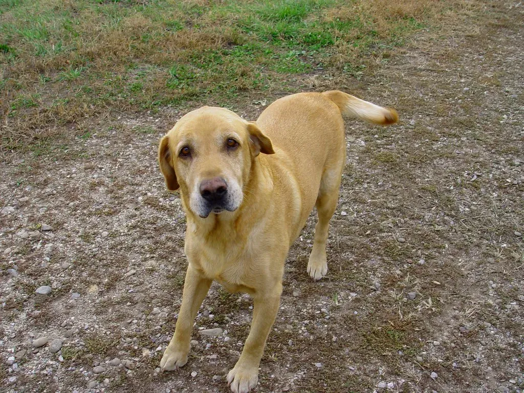 Conclusion (Image Credits: Flickr)