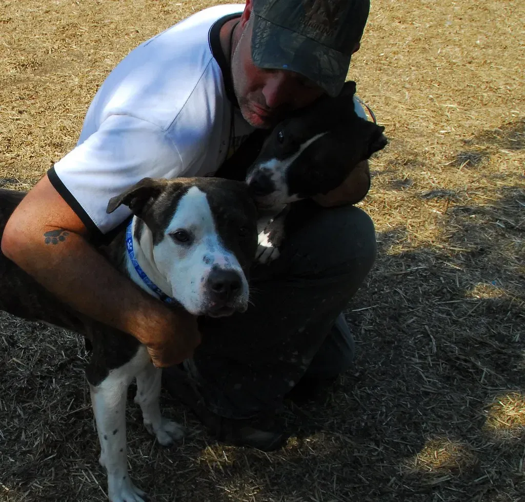 Conclusion: Finding Your Perfect Match (Image Credits: Flickr)