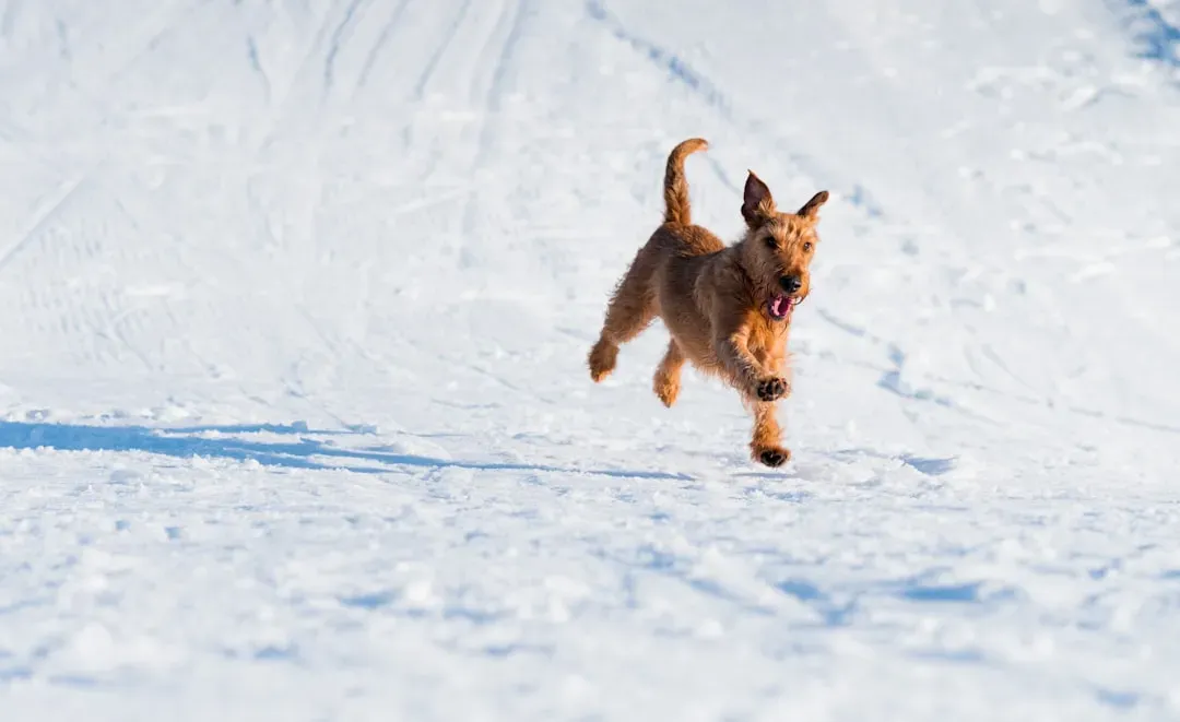 #3 - The "Bunny Hop" That Reveals Arthritis Years Early (Image Credits: Unsplash)