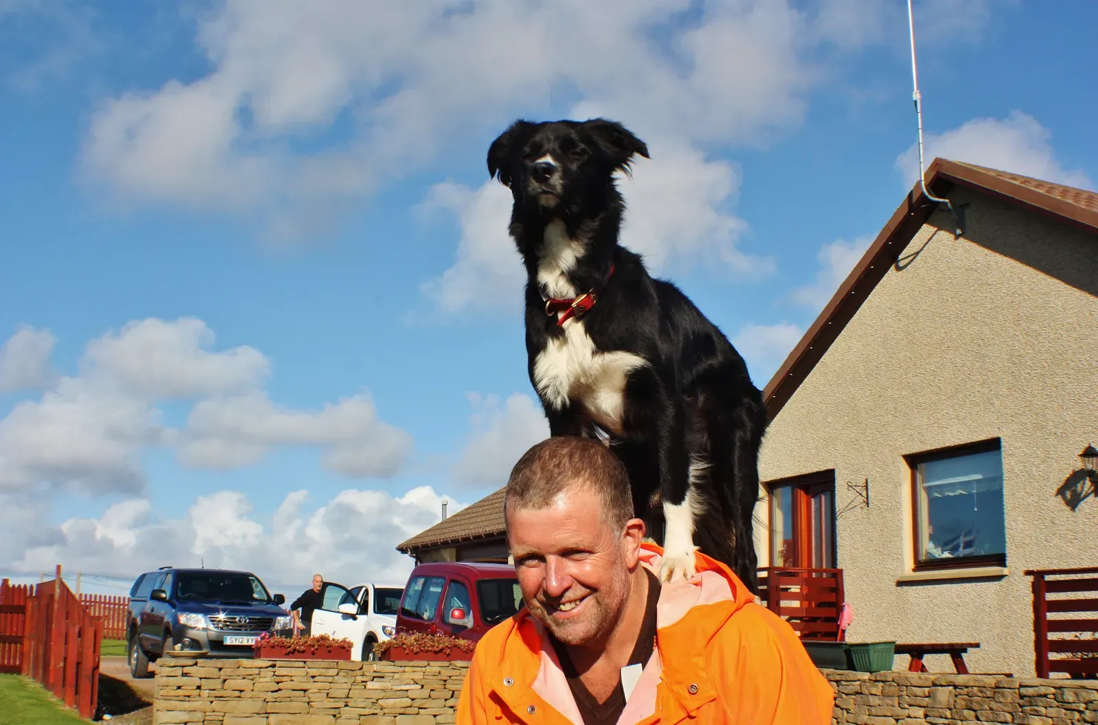 Border Collie – The Overachieving Workaholic (Image Credits: Wikimedia)