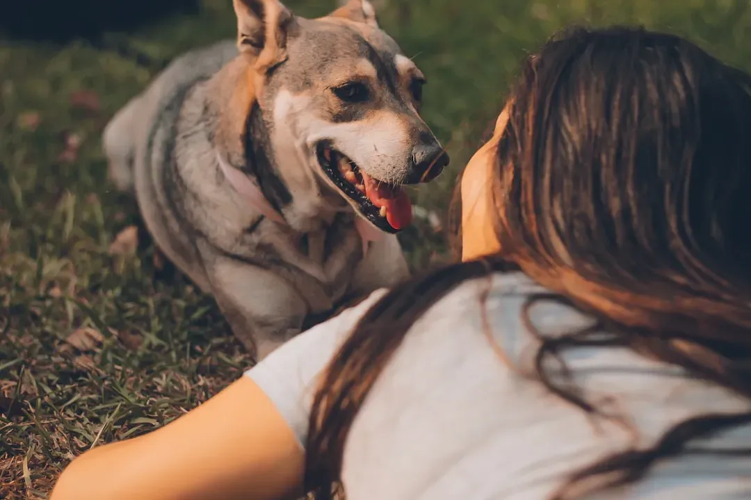 Capricorn: The Responsible Rock Who Secretly Needs a Soft Place to Fall (Image Credits: Unsplash)