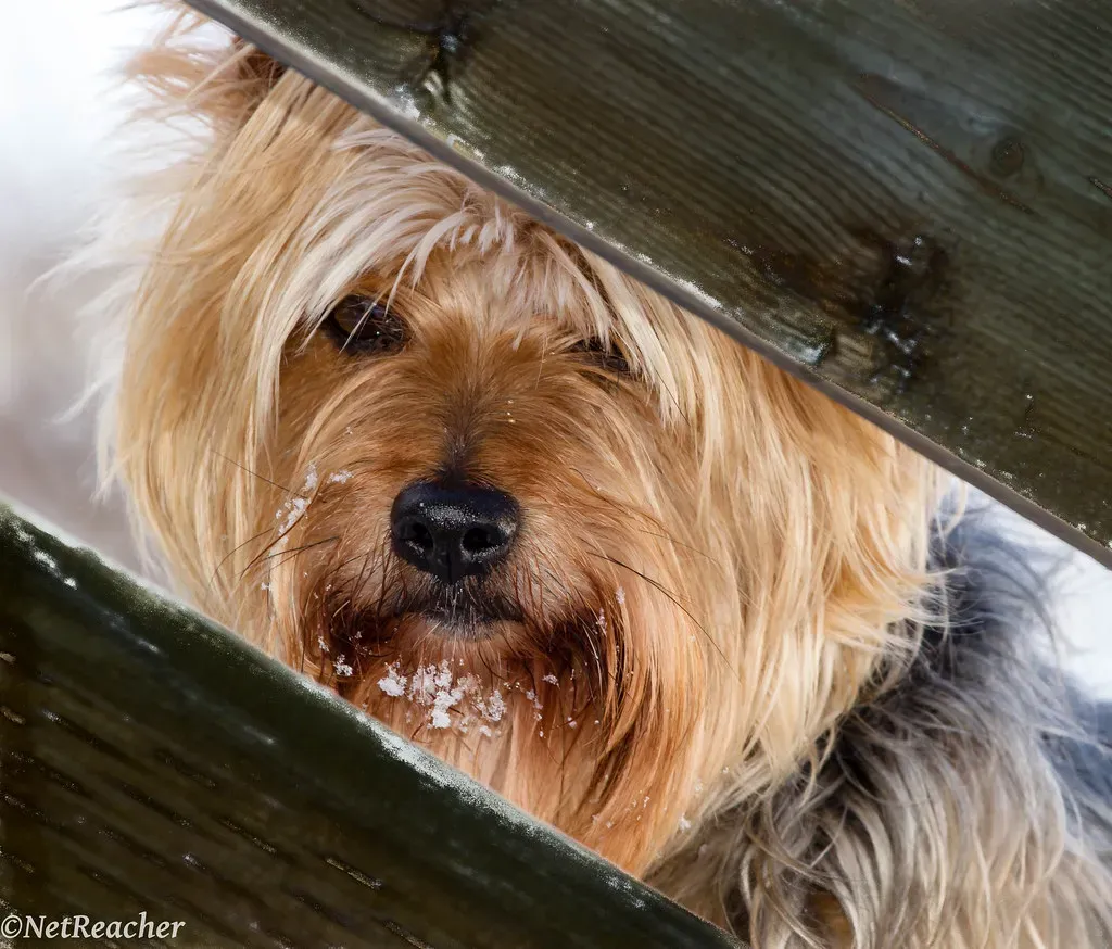 Checking In On You Throughout the Day (Image Credits: Flickr)