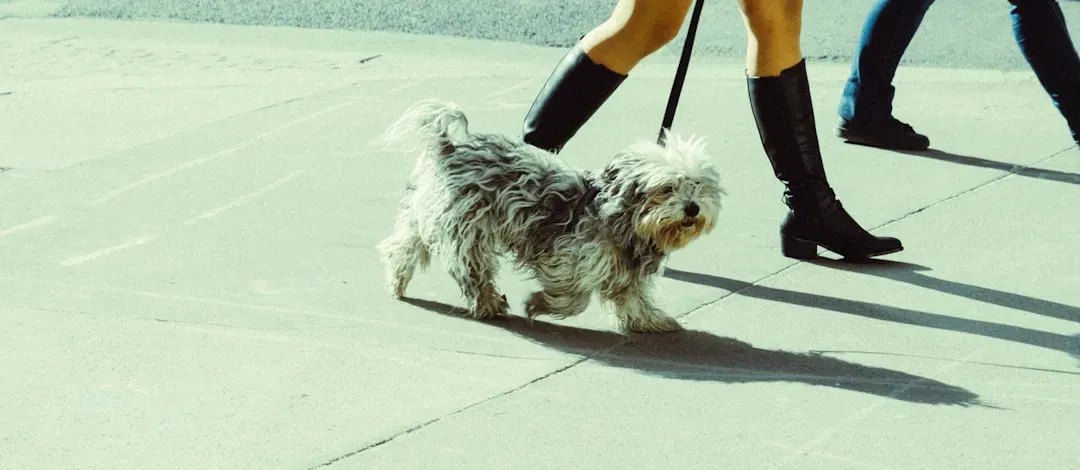 Mistake #3: Walking the Same Route, Same Pace, Every Single Day (Image Credits: Unsplash)