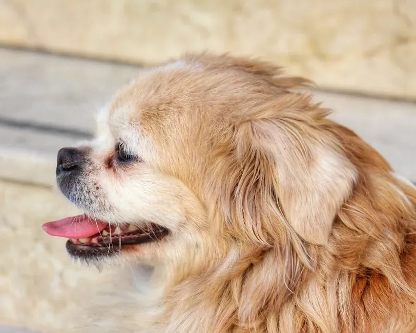 #5. Their Breathing Changes in a Noticeable Way (Image Credits: Pexels)