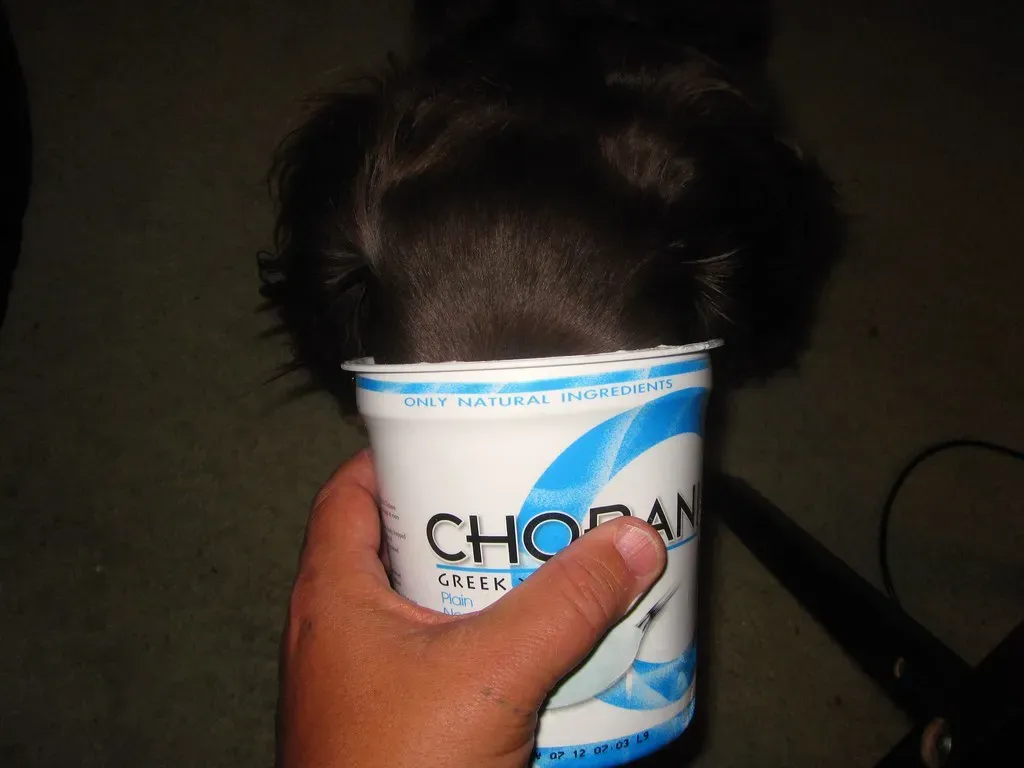 Plain Yogurt (Tobyotter, Flickr, CC BY 2.0)